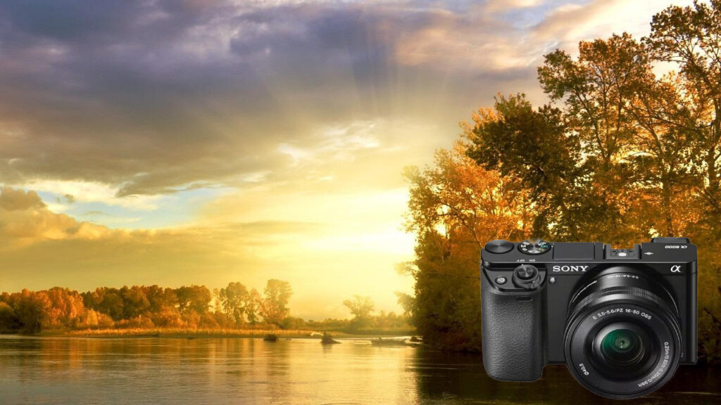 Sony A6000 mirrorless